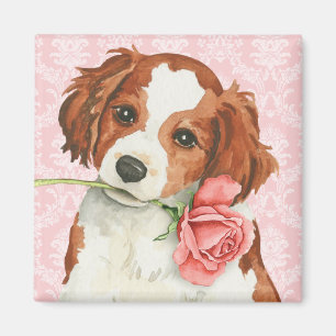 Valentijn nam Kooiker toe Magneet