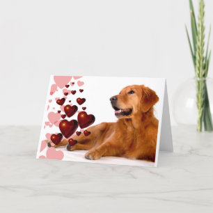 Valentijn Red Hearts Golden Retriever Dog Feestdagen Kaart