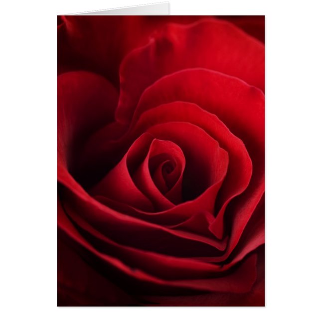 Valentijn Red Rose (Voorkant)