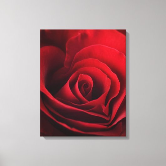 Valentijn Red Rose Canvas Afdruk (Voorkant)