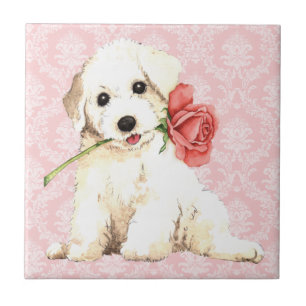 Valentijn Roos Bichon Tegeltje