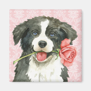 Valentijn Roos Border Collie Magneet