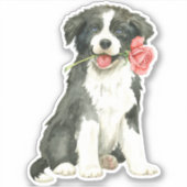 Valentijn Roos Border Collie Vinyl Sticker (Voorkant)
