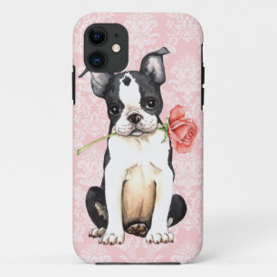 Valentijn Roos Boston Terrier iPhone 11 Hoesje