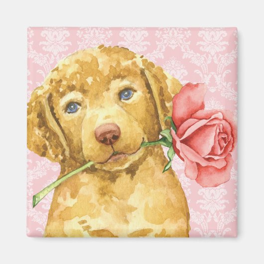 Valentijn Roos Chesapeake Bay Retriever Magnet Magneet (Voorkant)