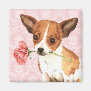 Valentijn Roos Chihuahua Magneet