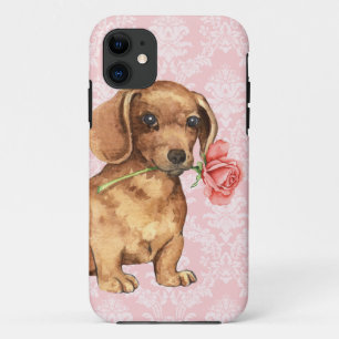 Valentijn Roos Dachshund iPhone 11 Hoesje