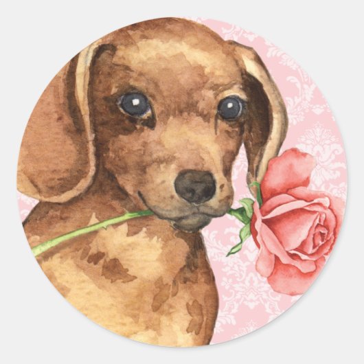 Valentijn Roos Dachshund Ronde Sticker (Voorkant)