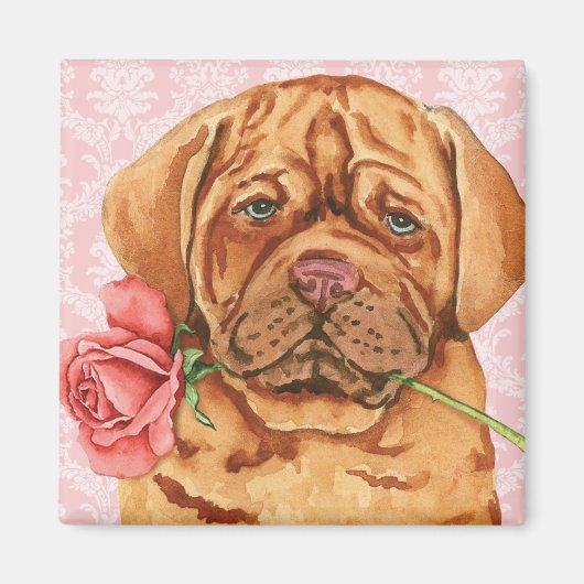 Valentijn Roos Dogue de Bordeaux Magneet (Voorkant)