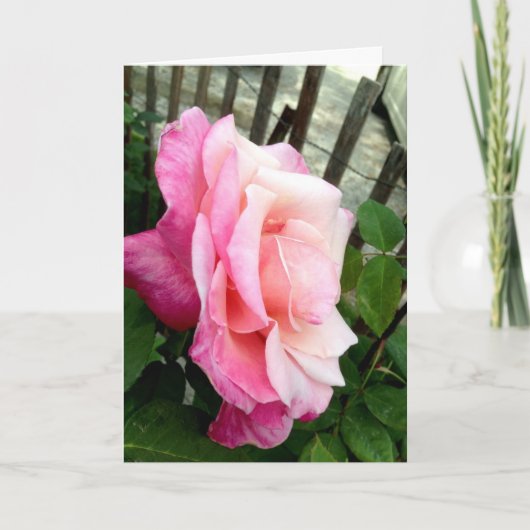 Valentijn Roos Feestdagen Kaart (Voorkant)