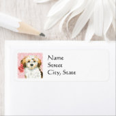 Valentijn Roos Havanese Etiket (Insitu)