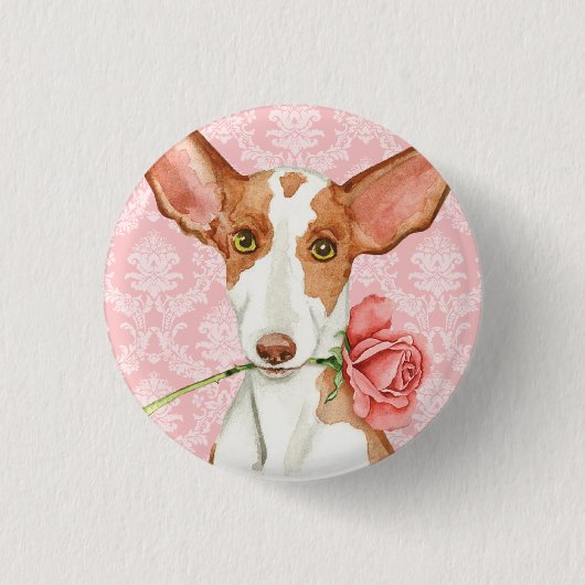 Valentijn Roos Ibizan Hound Ronde Button 3,2 Cm (Voorkant)