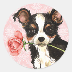 Valentijn Roos Long Coat Chihuahua Ronde Sticker