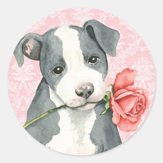 Valentijn Roos Pit Bull Ronde Sticker (Voorkant)