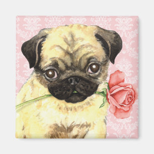 Valentijn Roos Pug Magneet