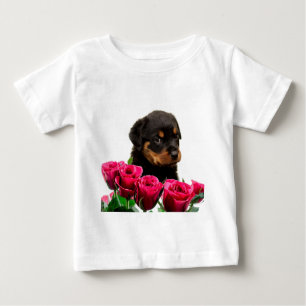 Valentijn Roos Rottweiler Puppy