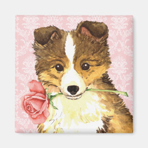 Valentijn Roos Sheltie Magneet