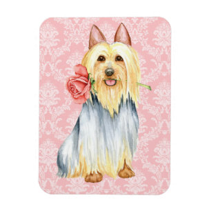 Valentijn Roos Silky Terrier Magnet Magneet