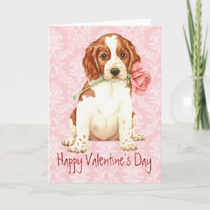 Valentijn Roos Welshie Feestdagen Kaart