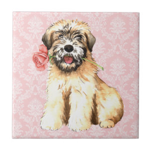 Valentijn Roos Wheaten Tegeltje