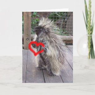 Valentijn stekelvarken feestdagen kaart