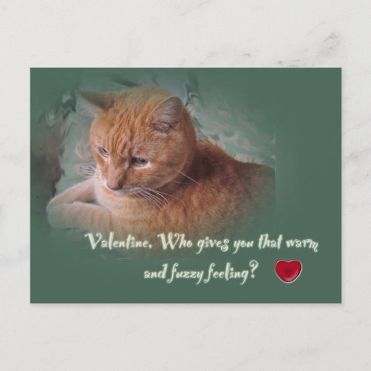 Valentijn van de kat feestdagenkaart (Voorkant)