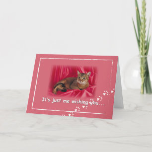Valentijn vanaf kat, schildert afdrukken op roze feestdagen kaart