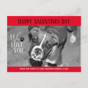 Valentijn Veterinary Holiday Cards Briefkaart
