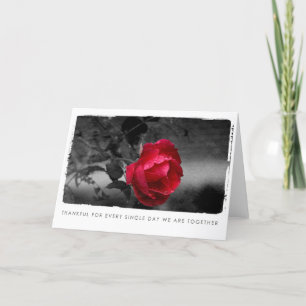 valentijnen roos fotografie feestdagen kaart