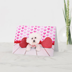 Valentijns - Bichon Frise - Lilly Feestdagen Kaart