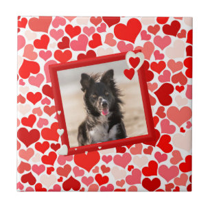 Valentijns Border Collie Dog Hearts Tegeltje
