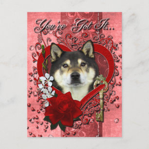 Valentijns - Sleutel tot mijn hart - Shiba Inu - Y Feestdagenkaart