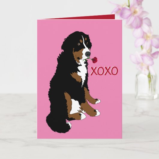 Valentijnsdag Bernese Mountain Dog Kaart (Orchidee)