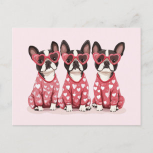 Valentijnsdag Boston Terrier Dogs Feestdagenkaart