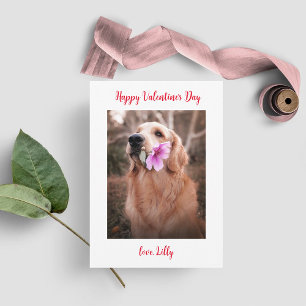 Valentijnsdag Foto Hond Feestdagenkaart