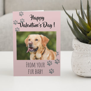 Valentijnsdag Foto Hond Kat Huisdier Pelsbaby Kaart