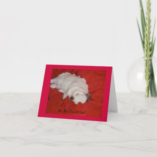 Valentijnsdag-kaart Feestdagen Kaart (Voorkant)