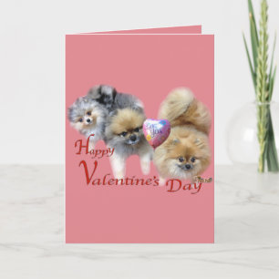 Valentijnsdag Kaart van My Pom Pals
