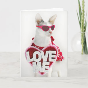 Valentijnsdag Kaart van Skeezix the Cat