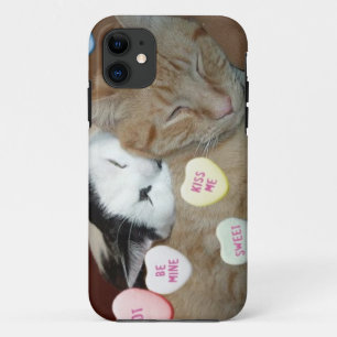 Valentijnsdag Katten iPhone 11 Hoesje