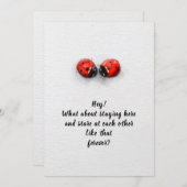 Valentijnsdag liefdebugs bedankkaart (Voorkant / Achterkant)