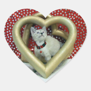 Valentijnsdag - Liefdes Phoenix - Kat / Kitten Hart Sticker