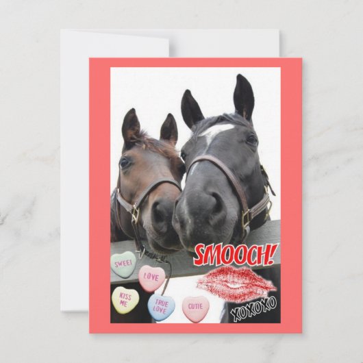 Valentijnsdag paarden feestdagenkaart (Voorkant)