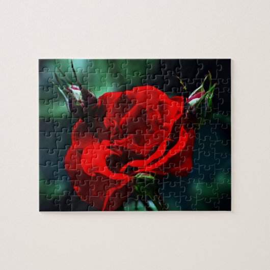 Valentijnsdag rode roos legpuzzel (Horizontaal)