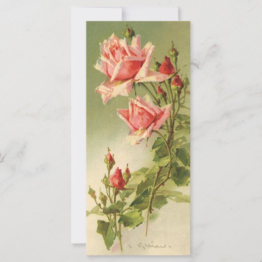  Valentijnsdag Roze Victoriaans Roos van de tuin (Voorkant)