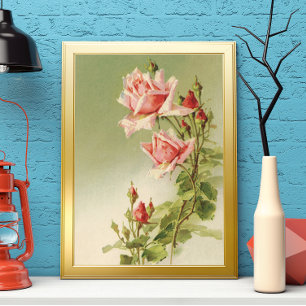 Valentijnsdag Roze Victoriaans Roos van de tuin Poster