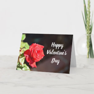 Valentijnsdag rozen vakantiekaart feestdagen kaart