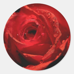 Valentijnsdag Stickers