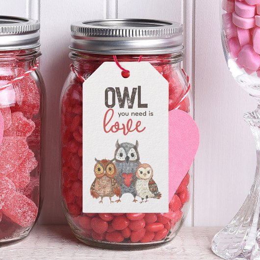 Valentijnsdag Uilen Cute Cadeaubijslags Cadeaulabel