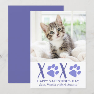 Valentijnsdag XOXO Cute Kitten Pet Foto Feestdagenkaart